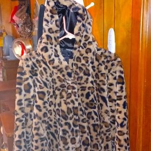 Torrid coat